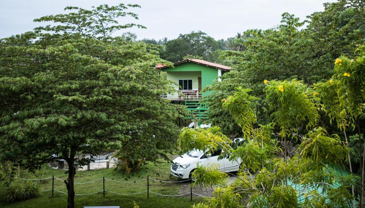 מסינאגודי The Midway Jungle Resort מראה חיצוני תמונה