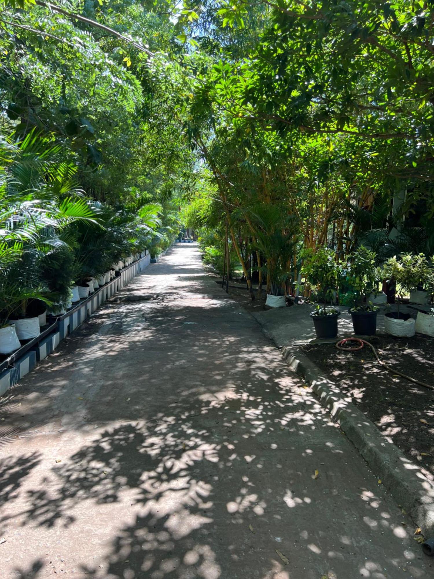 מסינאגודי The Midway Jungle Resort מראה חיצוני תמונה